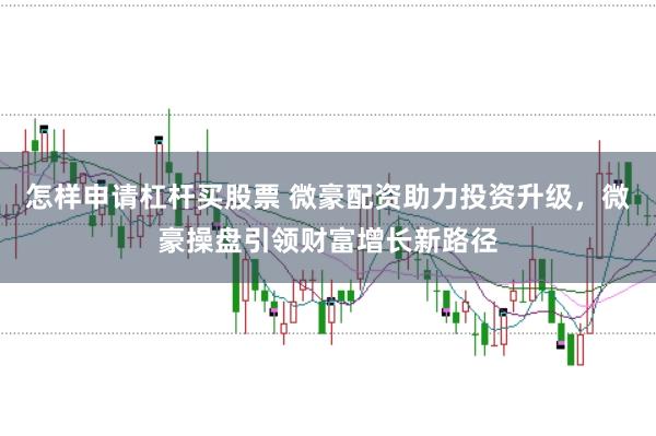 怎样申请杠杆买股票 微豪配资助力投资升级，微豪操盘引领财富增长新路径