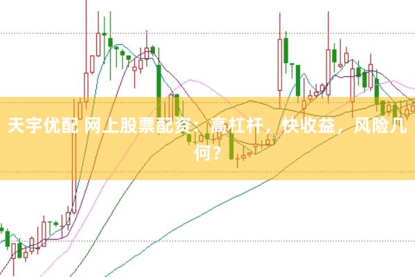 天宇优配 网上股票配资：高杠杆，快收益，风险几何？