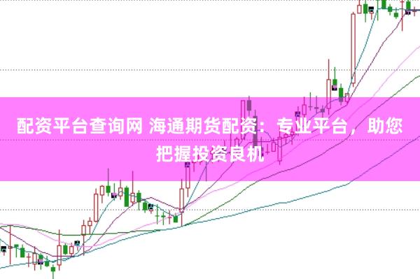 配资平台查询网 海通期货配资：专业平台，助您把握投资良机
