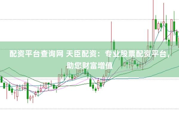 配资平台查询网 天臣配资：专业股票配资平台，助您财富增值
