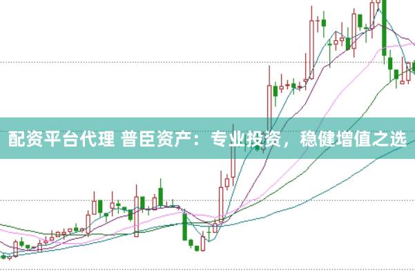 配资平台代理 普臣资产：专业投资，稳健增值之选
