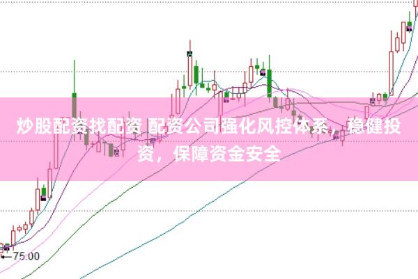 炒股配资找配资 配资公司强化风控体系，稳健投资，保障资金安全