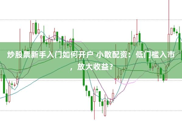 炒股票新手入门如何开户 小散配资：低门槛入市，放大收益？