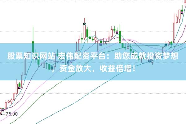 股票知识网站 宏伟配资平台：助您成就投资梦想，资金放大，收益倍增！