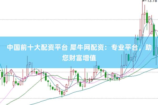 中国前十大配资平台 犀牛网配资：专业平台，助您财富增值