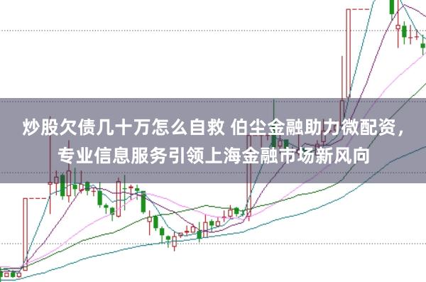 炒股欠债几十万怎么自救 伯尘金融助力微配资，专业信息服务引领上海金融市场新风向