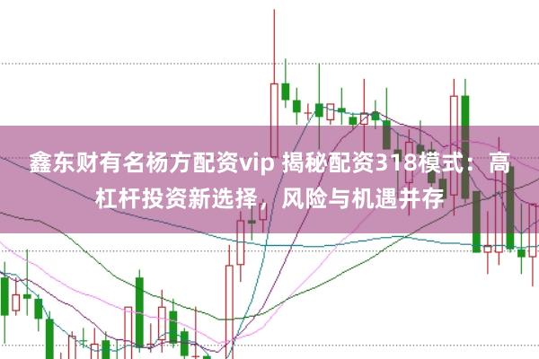 鑫东财有名杨方配资vip 揭秘配资318模式：高杠杆投资新选择，风险与机遇并存