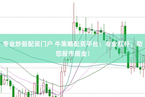 专业炒股配资门户 牛策略配资平台：专业杠杆，助您股市掘金！