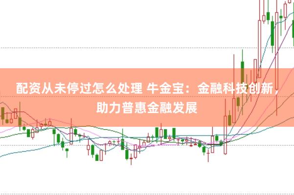 配资从未停过怎么处理 牛金宝：金融科技创新，助力普惠金融发展