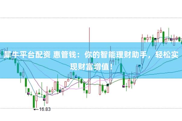 犀牛平台配资 惠管钱：你的智能理财助手，轻松实现财富增值！
