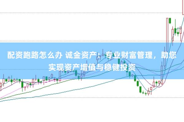 配资跑路怎么办 诚金资产：专业财富管理，助您实现资产增值与稳健投资