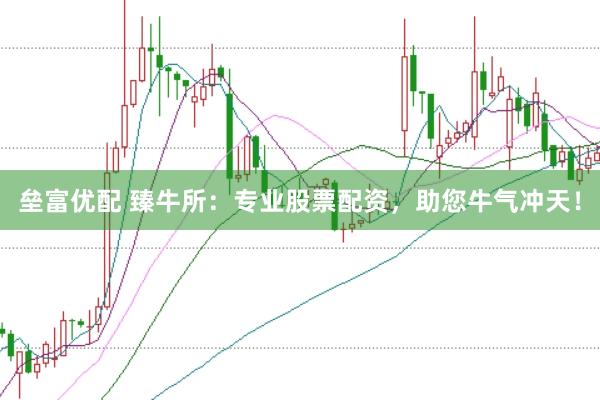 垒富优配 臻牛所:专业股票配资,助您牛气冲天!