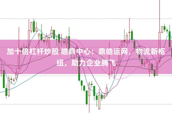 加十倍杠杆炒股 皓鼎中心：鼎皓运网，物流新枢纽，助力企业腾飞