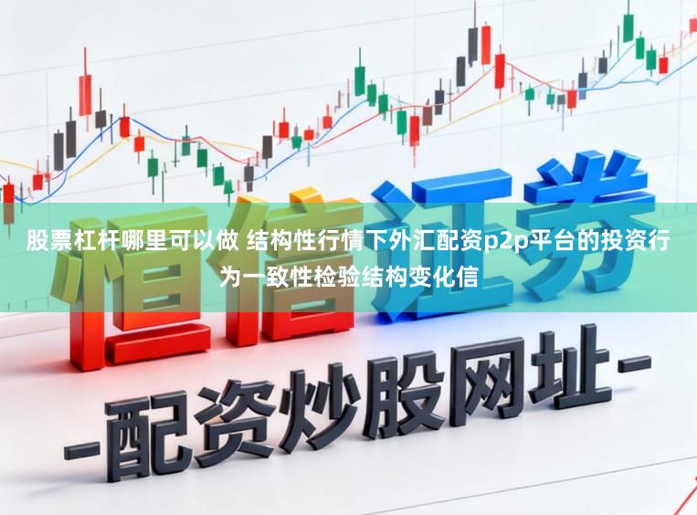 股票杠杆哪里可以做 结构性行情下外汇配资p2p平台的投资行为一致性检验结构变化信