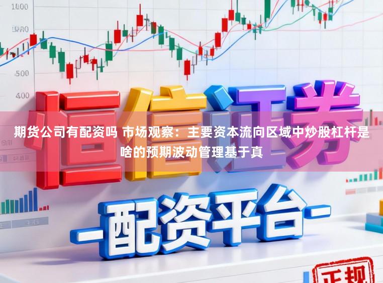 期货公司有配资吗 市场观察：主要资本流向区域中炒股杠杆是啥的预期波动管理基于真